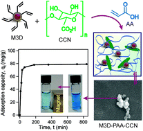 Graphical abstract: Magnetic nanocomposite based on polyacrylic acid and carboxylated cellulose nanocrystal for the removal of cationic dye