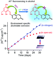 Graphical abstract: An aluminium fluorosensor for the early detection of micro-level alcoholate corrosion