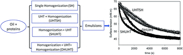 Graphical abstract: Interfacial characteristics, colloidal properties and storage stability of dairy protein-stabilized emulsion as a function of heating and homogenization