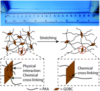 Graphical abstract: Mechanically tough and highly stretchable poly(acrylic acid) hydrogel cross-linked by 2D graphene oxide