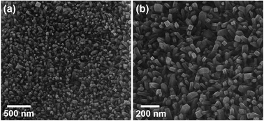 Graphical abstract: Direct electrochemical detection of clozapine by RuO2 nanoparticles-modified screen-printed electrode