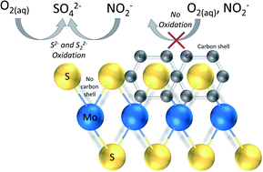 Graphical abstract: Stability of 2H- and 1T-MoS2 in the presence of aqueous oxidants and its protection by a carbon shell