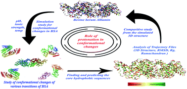 Graphical abstract: A molecular simulation approach towards the development of universal nanocarriers by studying the pH- and electrostatic-driven changes in the dynamic structure of albumin