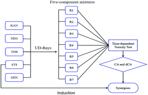 Graphical abstract: Time-dependent synergism of five-component mixture systems of aminoglycoside antibiotics to Vibrio qinghaiensis sp.-Q67 induced by a key component