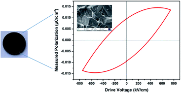 Graphical abstract: Cu(i) substituted wurtzite ZnO: a novel room temperature lead free ferroelectric and high-κ giant dielectric