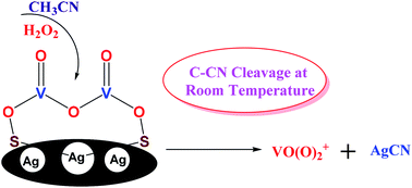 Graphical abstract: Direct cyanidation of silver sulfide by heterolytic C–CN bond cleavage of acetonitrile