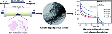 Graphical abstract: A bifunctional CoP/N-doped porous carbon composite derived from a single source precursor for bisphenol A removal