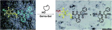 Graphical abstract: Tetrafluoroaryl azide as an N-terminal capping group for click-to-dissolve diphenylalanine hydrogels