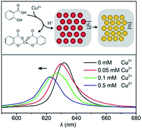 Graphical abstract: Liquid photonic crystal detection reagent for reliable sensing of Cu2+ in water