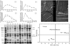 Graphical abstract: The differential effects of endogenous cathepsin and microorganisms on changes in the texture and flavor substances of grouper (Epinephelus coioides) fillets