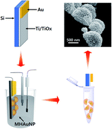 Graphical abstract: Electrochemical preparation system for unique mesoporous hemisphere gold nanoparticles using block copolymer micelles