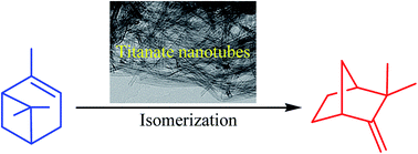Graphical abstract: Highly-selective solvent-free catalytic isomerization of α-pinene to camphene over reusable titanate nanotubes