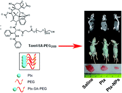 Graphical abstract: Superior antitumor effect of self-assembly supramolecular paclitaxel nanoparticles