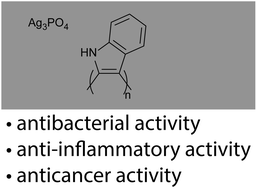 Graphical abstract: Bioactive silver phosphate/polyindole nanocomposites