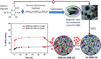 Graphical abstract: One-step dry synthesis of an iron based nano-biocomposite for controlled release of drugs