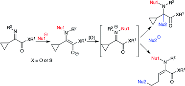 Graphical abstract: An umpolung reaction of α-iminothioesters possessing a cyclopropyl group