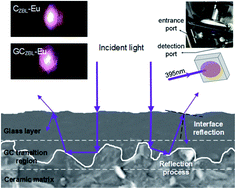 Graphical abstract: Wide visible-range fluorescence of Eu3+ located in the macroscopic bi-layer ceramic/glass composite