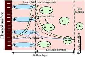 Graphical abstract: Specific ion effects of incomplete ion-exchange by electric field-induced ion polarization