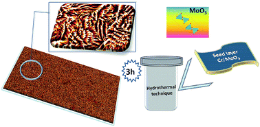 Graphical abstract: Rapid synthesis of vertically aligned α-MoO3 nanostructures on substrates