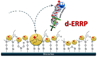 Graphical abstract: Boosting basic-peptide separation through dynamic electrostatic-repulsion reversed-phase (d-ERRP) liquid chromatography