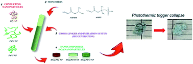 Graphical abstract: Electromagnetic radiation driving of volume changes in nanocomposites made of a thermosensitive hydrogel polymerized around conducting polymer nanoparticles