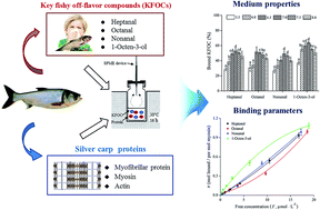 Graphical abstract: The binding of key fishy off-flavor compounds to silver carp proteins: a thermodynamic analysis