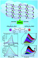 Graphical abstract: Two rare {M2(MoO4)2}n chain-containing molybdate-based metal–organic complexes with a bis-pyrazole-bis-amide ligand: fluorescent sensing and photocatalysis performance