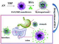 Graphical abstract: Synthesis of polyacrylonitrile nanoflowers and their controlled pH-sensitive drug release behavior