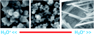 Graphical abstract: A two-dimensional crystal growth in anatase titania nanostructures driven by trigonal hydronium ions