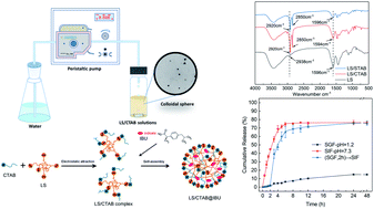 Graphical abstract: Assembly of lignin-based colloidal particles: effects of cationic surfactants, molecular weight, and solvent on morphology