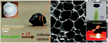 Graphical abstract: Facile template-free synthesis of multifunctional 3D cellular carbon from edible rice paper