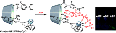 Graphical abstract: Phosphate-sensing with (di-(2-picolyl)amino)quinazolines based on a fluorescence on–off system