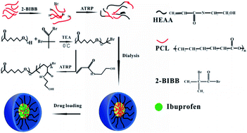 Graphical abstract: Amphiphilic poly(caprolactone-b-N-hydroxyethyl acrylamide) micelles for controlled drug delivery