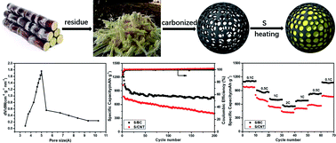 Graphical abstract: Bagasse as a carbon structure with high sulfur content for lithium–sulfur batteries