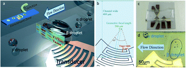Graphical abstract: Intra-droplet particle enrichment in a focused acoustic field