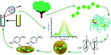 Graphical abstract: Hybrids based on borate-functionalized cellulose nanofibers and noble-metal nanoparticles as sustainable catalysts for environmental applications