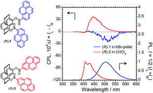 Graphical abstract: Inter- and intramolecular excimer circularly polarised luminescence of planar chiral paracyclophane-pyrene luminophores