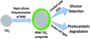 Graphical abstract: Deposition of an ultra-thin polyaniline coating on a TiO2 surface by vapor phase polymerization for electrochemical glucose sensing and photocatalytic degradation