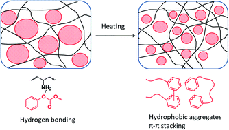 Graphical abstract: Physical gels of poly(vinylamine) by thermal curing