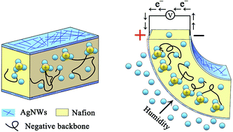 Graphical abstract: Rapid preparation of a Nafion/Ag NW composite film and its humidity sensing effect