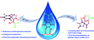 Graphical abstract: Substrate-controlled selectivity switch in a three-component reaction: sequential synthesis of spiro-oxazolidinedione-cyclopentenones and hydroxy enaminobarbiturates in water