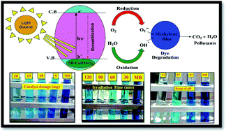Graphical abstract: Synthesis and characterisation of novel Cu(ii)-anchored biopolymer complexes as reusable materials for the photocatalytic degradation of methylene blue
