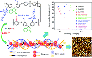 Graphical abstract: Comb-shaped cardo poly(arylene ether nitrile sulfone) anion exchange membranes: significant impact of nitrile group content on morphology and properties