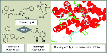 Graphical abstract: Synthesis and in vitro anti-proliferative evaluation of naphthalimide–chalcone/pyrazoline conjugates as potential SERMs with computational validation