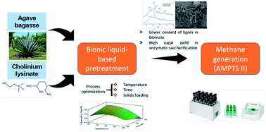 Graphical abstract: Bioderived ionic liquid-based pretreatment enhances methane production from Agave tequilana bagasse