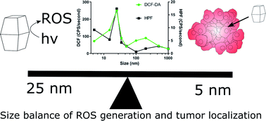 Graphical abstract: Effects of core titanium crystal dimension and crystal phase on ROS generation and tumour accumulation of transferrin coated titanium dioxide nanoaggregates