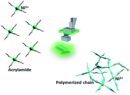 Graphical abstract: Synthesis through 3D printing: formation of 3D coordination polymers