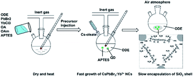 Graphical abstract: A facile method for preparing Yb3+-doped perovskite nanocrystals with ultra-stable near-infrared light emission