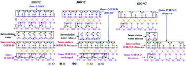 Graphical abstract: In situ study on interactions between hydroxyl groups in kaolinite and re-adsorption water