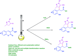 Graphical abstract: Highly efficient catalyst-free domino conjugate addition, decarboxylation and esterification/amidation of coumarin carboxylic acid/esters with pyrazolones: a green chemistry approach
